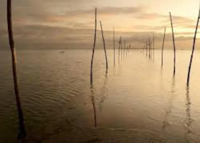 Maison Bassin D'arcachon - - Proche Et Commerces, 3 Chambres, 8 Personnes, Climatisation *